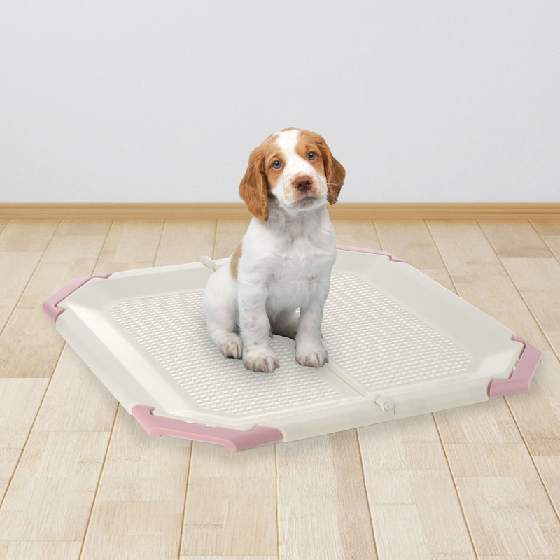 Fashion pet pee pad holder